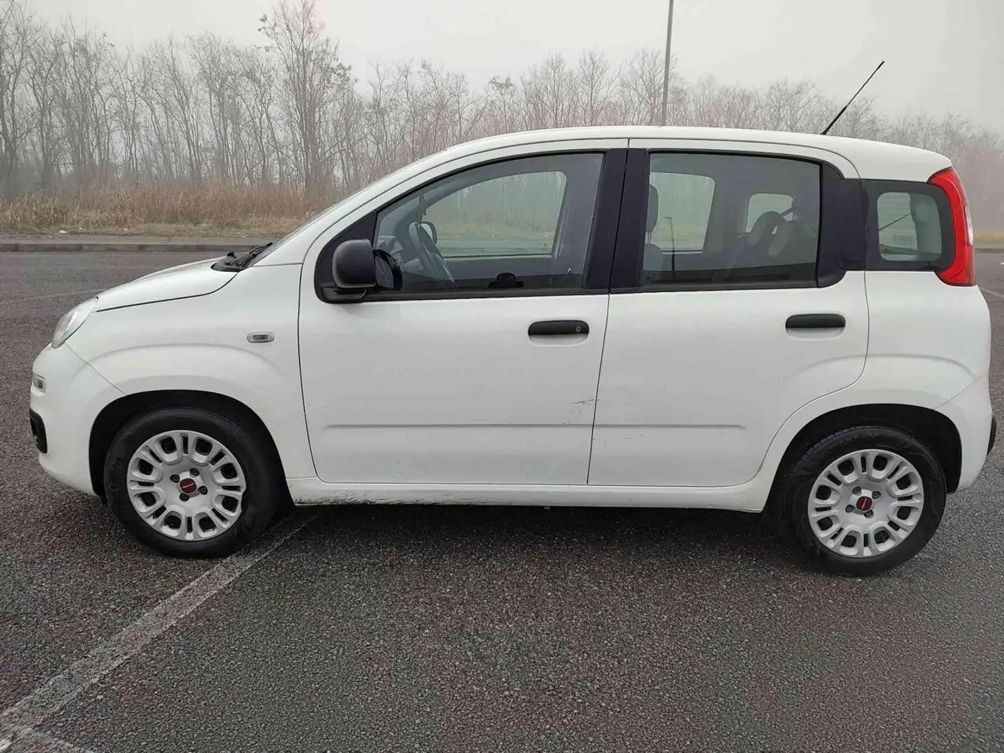 Fiat Panda 1.3 MJT 80 CV S&S Easy Bianco - 2