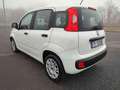 Fiat Panda 1.3 MJT 80 CV S&S Easy Wit - thumbnail 3