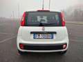 Fiat Panda 1.3 MJT 80 CV S&S Easy Wit - thumbnail 4