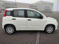 Fiat Panda 1.3 MJT 80 CV S&S Easy Bianco - thumbnail 6