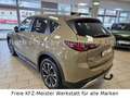 Mazda CX-5 2.2 Newground AWD LED AHK 1.Hd. Beige - thumbnail 9