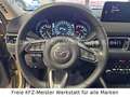 Mazda CX-5 2.2 Newground AWD LED AHK 1.Hd. Beige - thumbnail 28