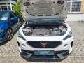 CUPRA Formentor 1,5 TSi DSG/LED/ACC/APP -Connect Weiß - thumbnail 19