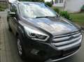 Ford Kuga Cool Grau - thumbnail 4