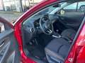 Mazda 2 2 III 2020 1.5 Evolve Design Pack 75cv Rot - thumbnail 14