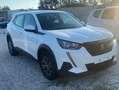 Peugeot 2008 2008 1.5 bluehdi Allure Pack s Bianco - thumbnail 2