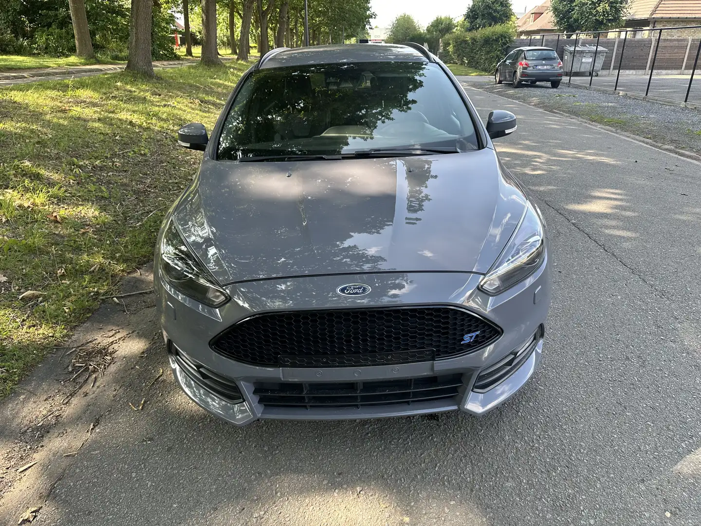 Ford Focus ST2 2.0 EcoBoost Grigio - 2