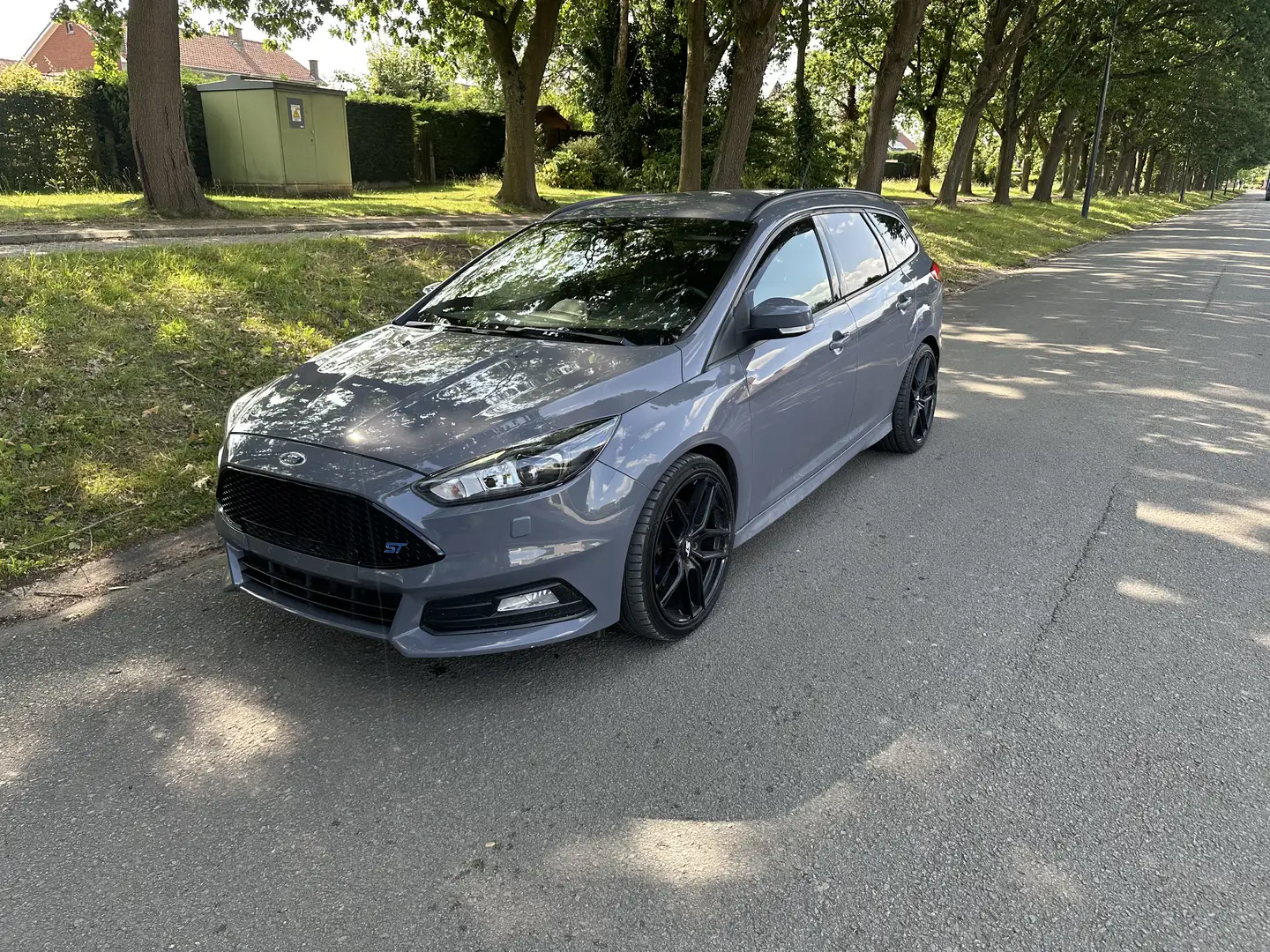 Ford Focus ST2 2.0 EcoBoost Grigio - 1