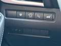 Nissan Qashqai QASHQAI 1.3 DIG-T MHEV 158 PS Xtronic Tekna Rot - thumbnail 17