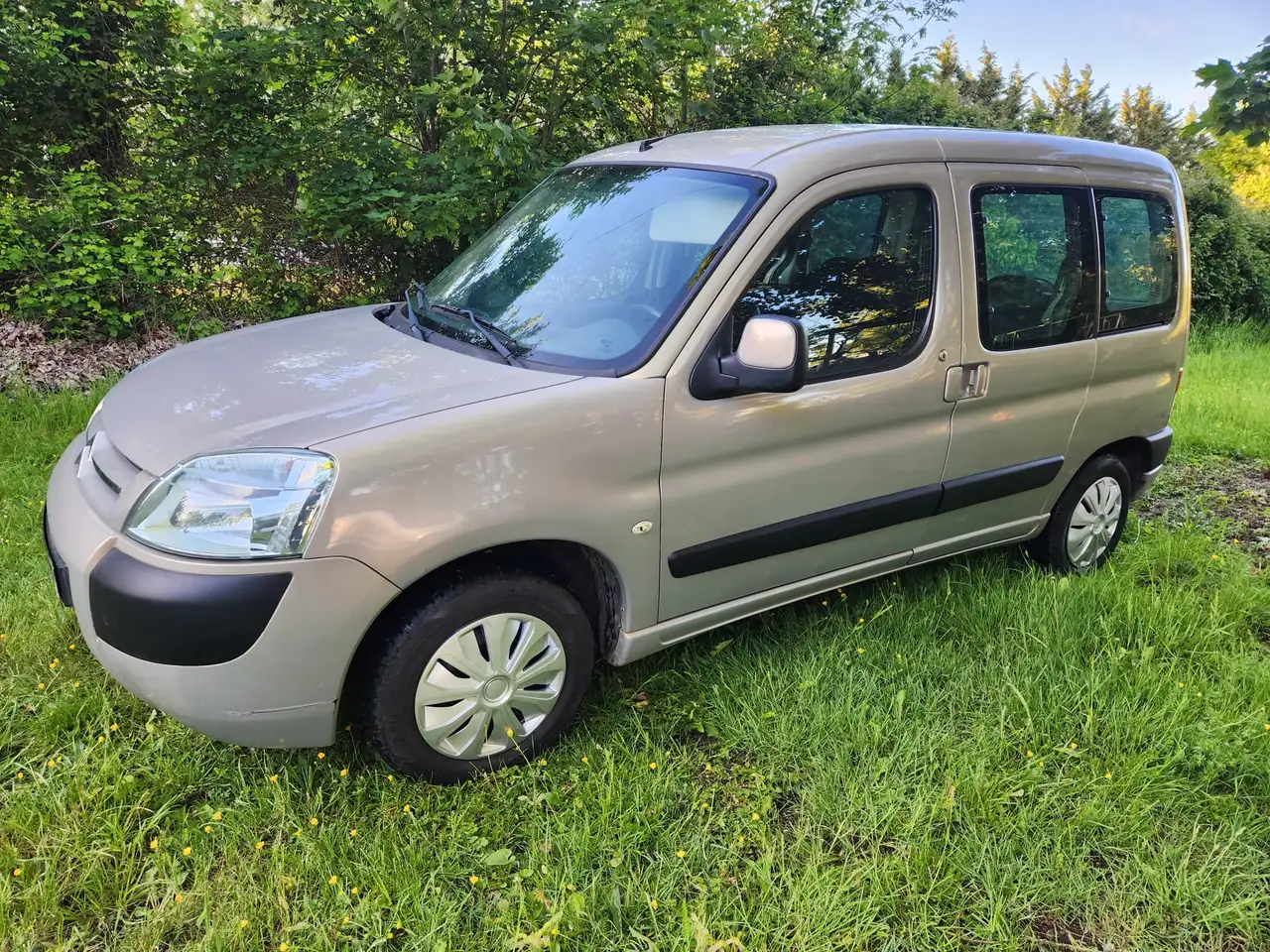 Citroen Berlingo 1.6 HDi 75 Multispace