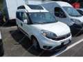 Fiat Doblo Tetto Alto 1.6 M-jet 120cv *TRASPORTO DISABILI* Bianco - thumbnail 3