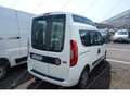 Fiat Doblo Tetto Alto 1.6 M-jet 120cv *TRASPORTO DISABILI* Bianco - thumbnail 5