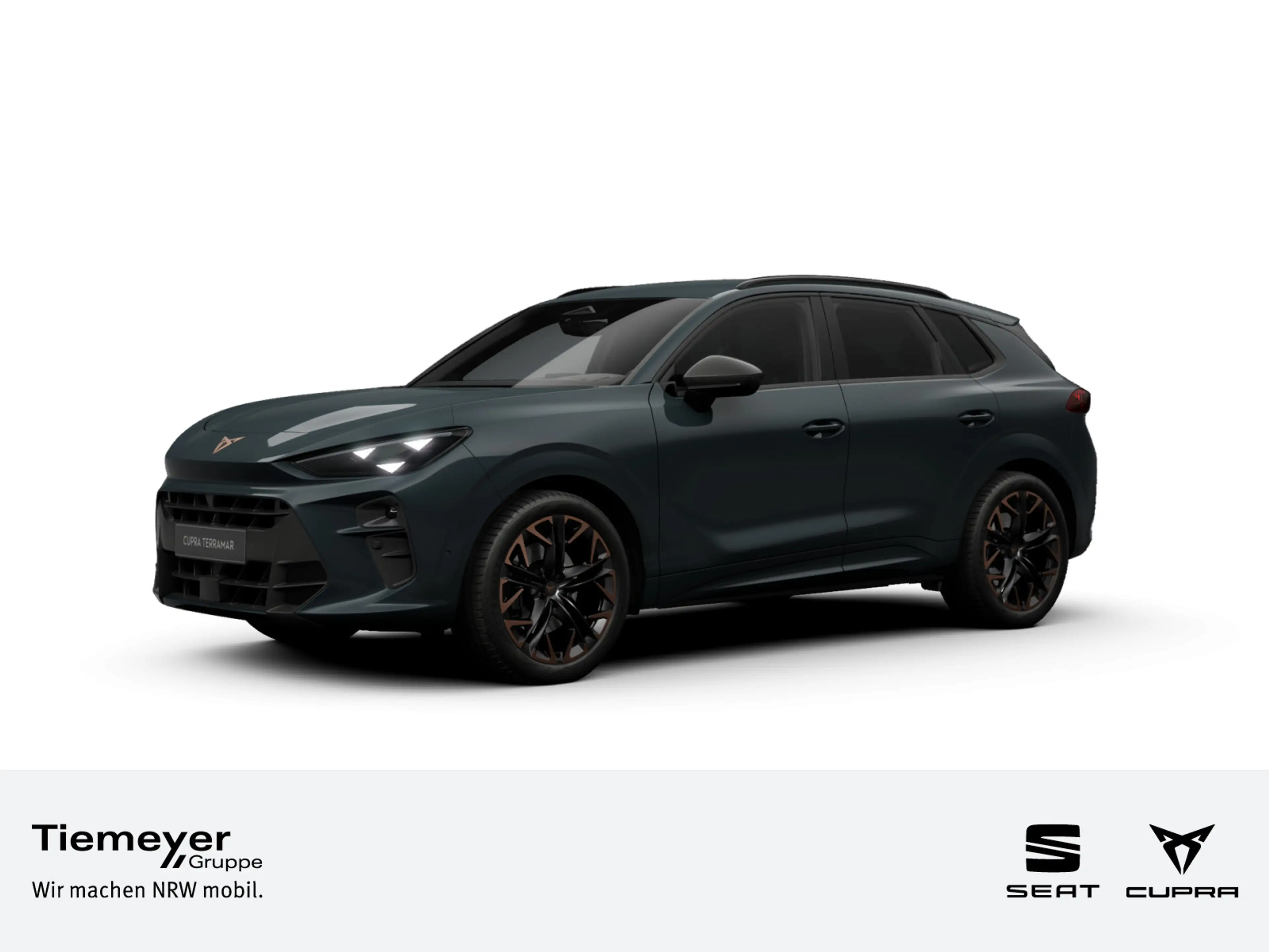 CUPRA Terramar 2.0 TSI DSG VZ 4DRIVE REAR VIEW NAVI Hu