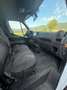 Renault Master Master Fahrgestell L3H1 3,5t dCi 170 Quickshift EU6 Weiß - thumbnail 5