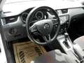 Skoda Octavia Ambition Blanc - thumbnail 15