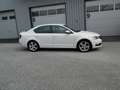 Skoda Octavia Ambition Blanc - thumbnail 1