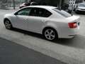 Skoda Octavia Ambition Blanc - thumbnail 8