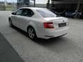 Skoda Octavia Ambition Blanc - thumbnail 7