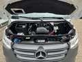 Mercedes-Benz Sprinter III Kasten 315 CDI MBUX/NAVI/KAMERA/PTS Wit - thumbnail 18