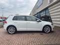 Volkswagen Golf Golf VII 2013 5p 1.6 tdi Comfortline Wit - thumbnail 7