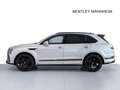 Bentley Bentayga V8 TOURING / NAIM / AHK / STANDHEIZUNG Argento - thumbnail 3