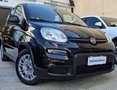 Fiat Panda Panda III 10-2023 Cross 1.0 firefly hybrid City s Nero - thumbnail 2