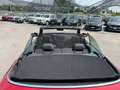 Volkswagen T-Roc T-Roc Cabriolet 1.5 tsi  dsg    GE632BY Rosso - thumbnail 12