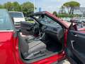 Volkswagen T-Roc T-Roc Cabriolet 1.5 tsi  dsg    GE632BY Rosso - thumbnail 13