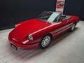 Alfa Romeo Spider 2.0 cc certificata ASI con C.R.S Rosso - thumbnail 8