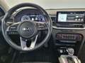 Kia XCeed 1.6l T-GDi 204 ch DCT7 ISG Premium Albastru - thumbnail 12