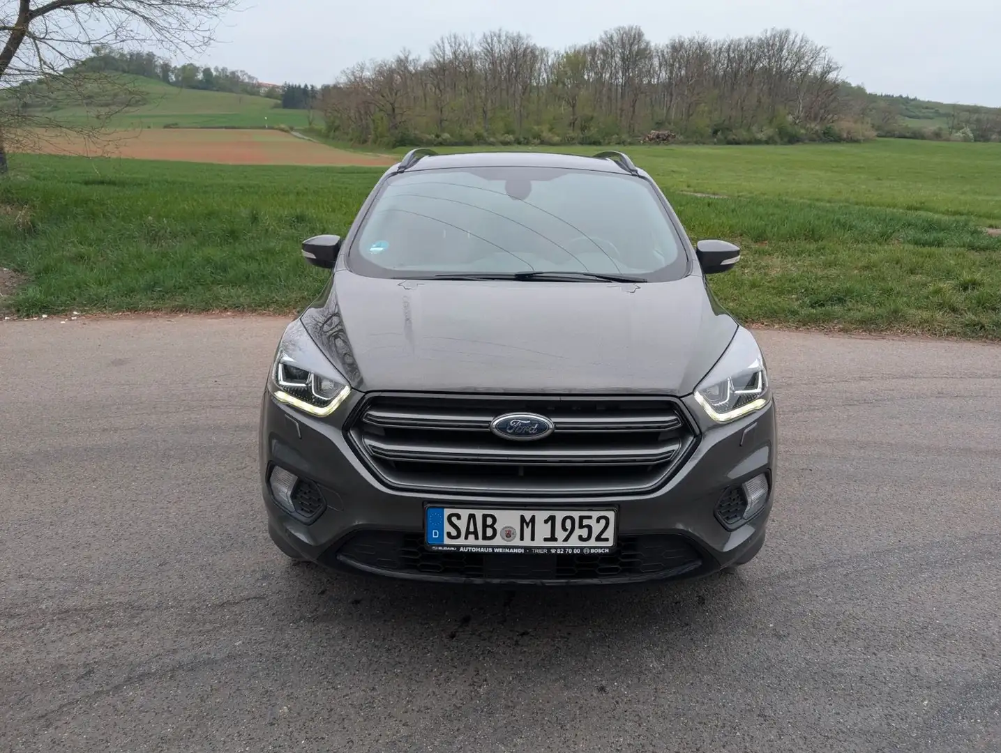 Ford Kuga 2,0 TDCi 4x4 110kW ST-Line PowerShift Gris - 2