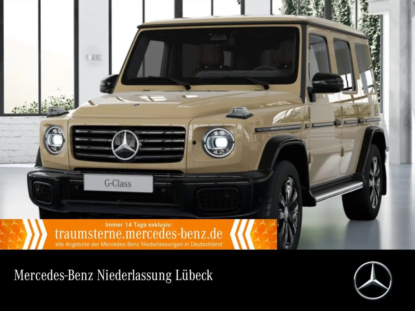 Mercedes-Benz G 450 d Professional Exclusive Burmester 3D 360° - 1