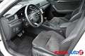 Skoda Superb WAGON 2.0 TDI 200 CV DSG SPORTLINE + R19 VEGA Bianco - thumbnail 5