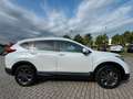 Honda CR-V 2.0 i-MMD HYBRID 4WD Lifestyle Weiß - thumbnail 10