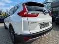 Honda CR-V 2.0 i-MMD HYBRID 4WD Lifestyle Weiß - thumbnail 7