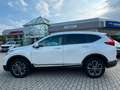 Honda CR-V 2.0 i-MMD HYBRID 4WD Lifestyle Weiß - thumbnail 1