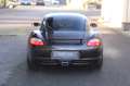 Porsche Cayman Perfecte staat / Macademia / 100% Dealer - Special Brun - thumbnail 16