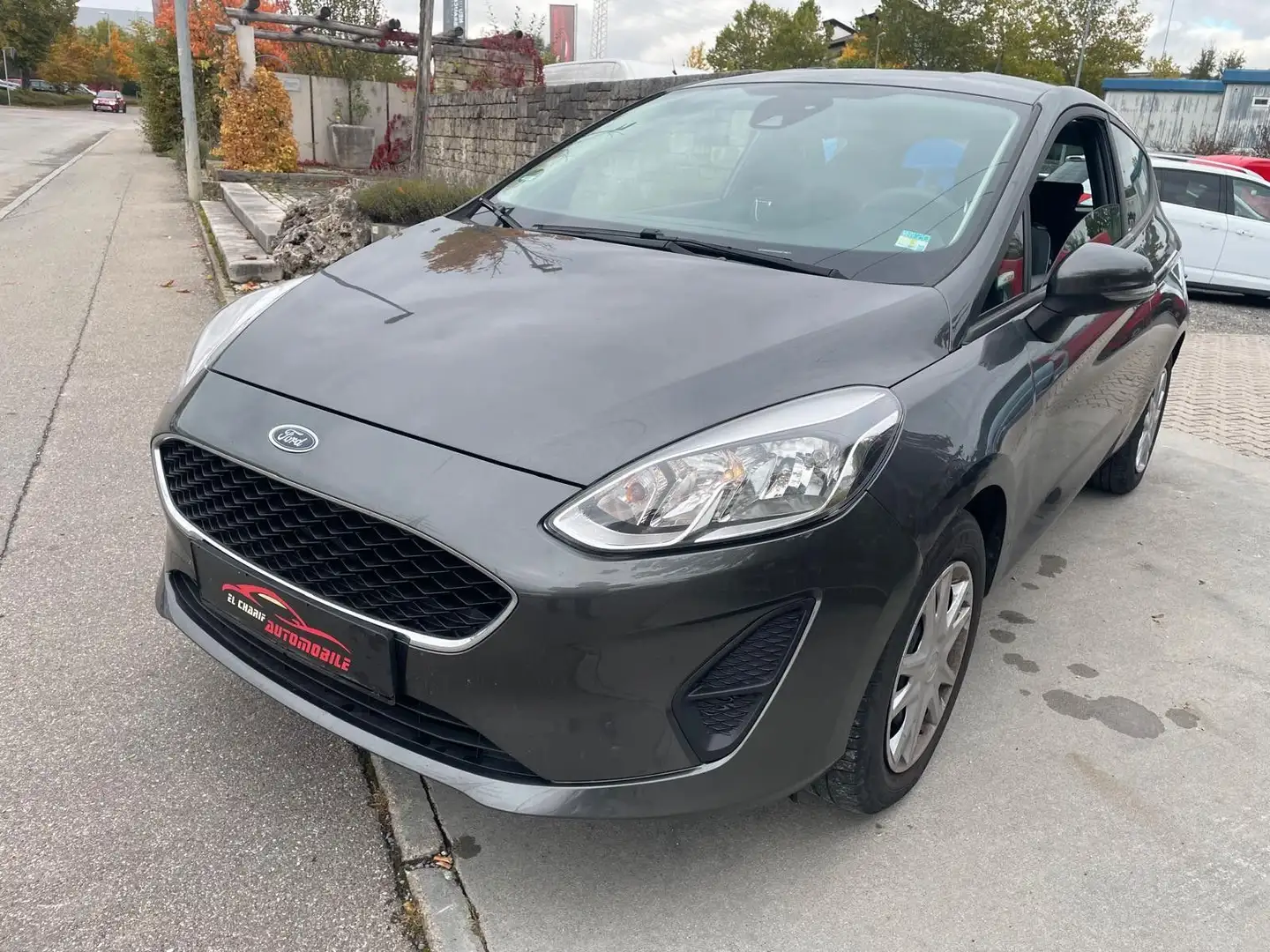 Ford Fiesta Trend Grigio - 2