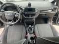Ford Fiesta Trend Grigio - thumbnail 12