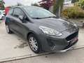 Ford Fiesta Trend Grigio - thumbnail 1