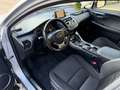 Lexus NX 300 NX I 2014 300h 2.5 Executive 4wd cvt Grigio - thumbnail 9