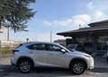 Lexus NX 300 NX I 2014 300h 2.5 Executive 4wd cvt Grigio - thumbnail 5