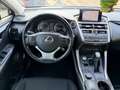 Lexus NX 300 NX I 2014 300h 2.5 Executive 4wd cvt Grigio - thumbnail 13