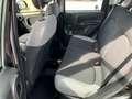 Fiat Panda Panda 1.0 firefly hybrid City Life s Nero - thumbnail 14