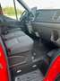 Ford TRANSIT Van V363 ICA3 my 2025 Rosso - thumbnail 5