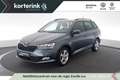 Skoda Fabia Combi 1.0 TSI Ambition Grijs - thumbnail 1