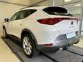 CUPRA Formentor 1.4 e-Hybrid Kamera ACC Navi Wit - thumbnail 3