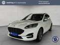 Ford Kuga 2.5 Duratec PHEV ST-LINE Weiß - thumbnail 1