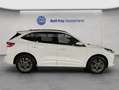 Ford Kuga 2.5 Duratec PHEV ST-LINE Weiß - thumbnail 7