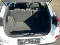 Ford Puma Puma 1,0 EcoBoost Titanium Titanium Weiß - thumbnail 7